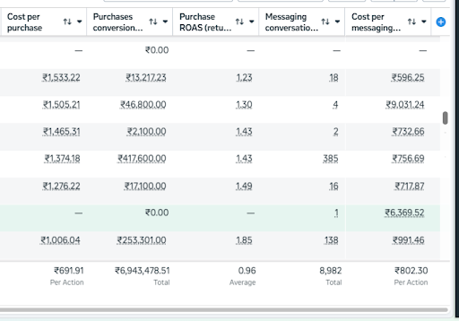 Meta advertising campaign performance